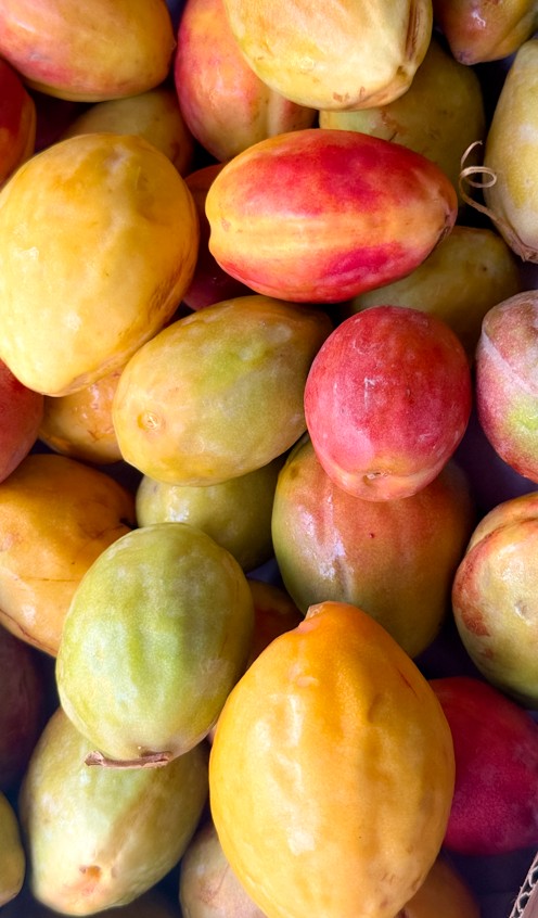 Yellow Tropical Almond