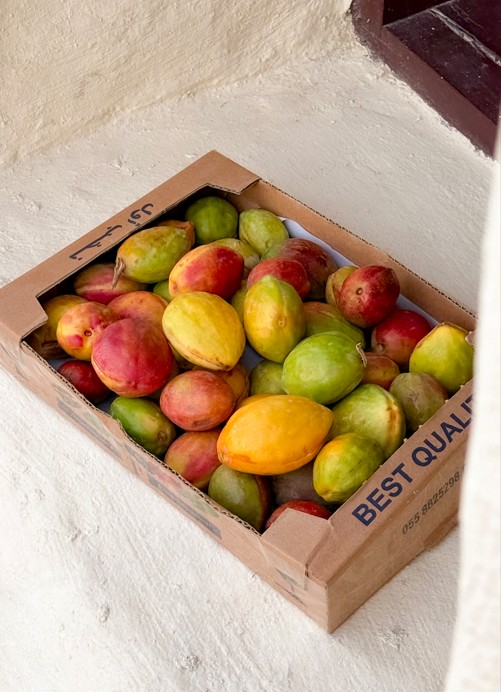Mixed Tropical Almonds