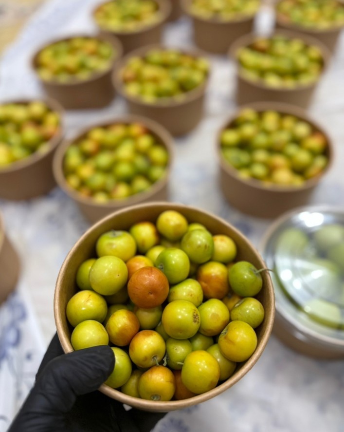 Ziziphus jujuba Pakistani