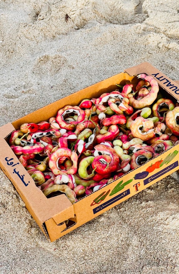 1 kg Manilla Tamarind