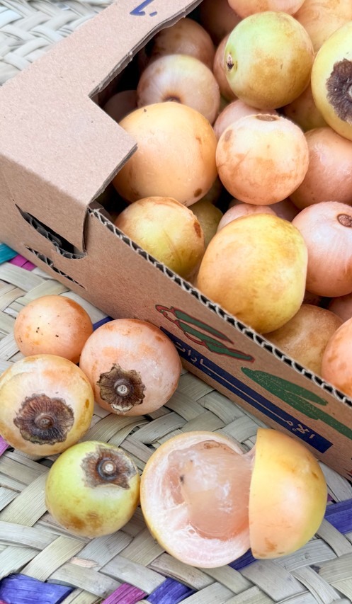 Yellow Cordia myxa 2 kg