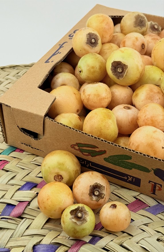 Yellow Cordia myxa 2 kg